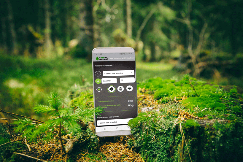 App development Auckland NZ - Tree replacement calculator