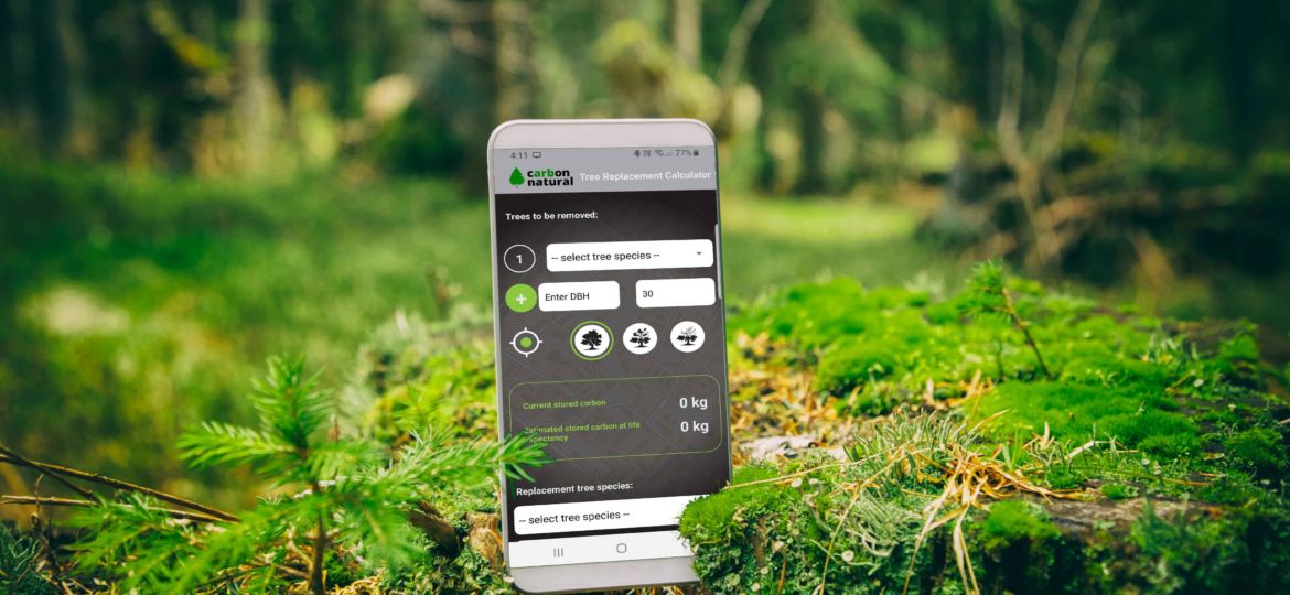 tree-app